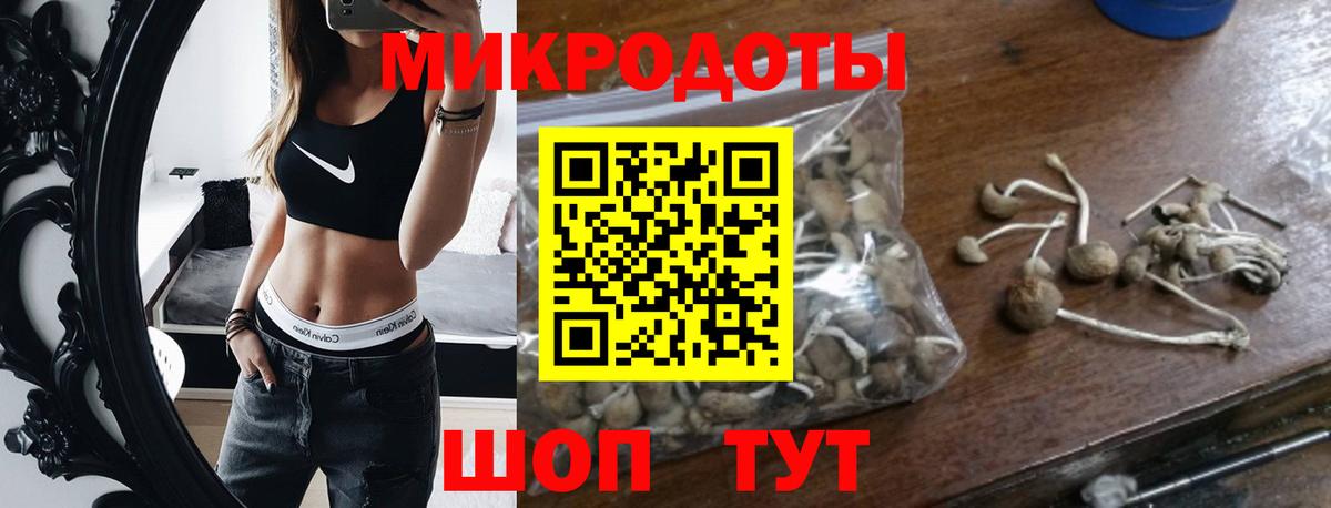 где найти   Галлюциногенные грибы ЛСД  Галлюциногенные грибы прущие грибы  Вход с VPN  Йошкар-Ола 