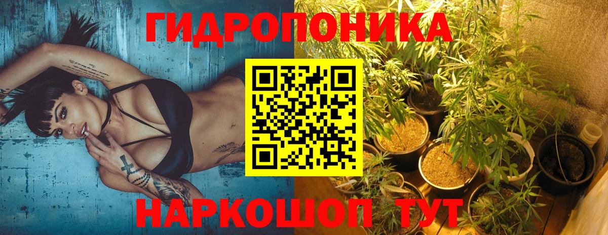 МАРИХУАНА семена Йошкар-Ола